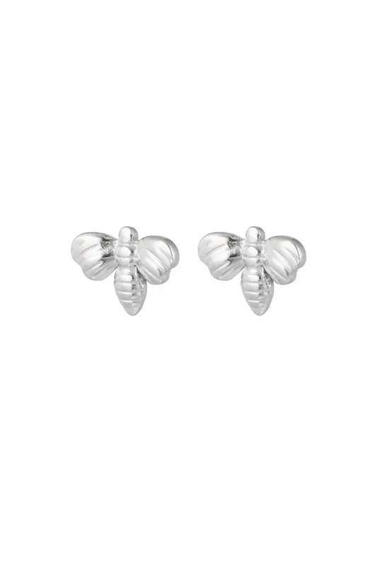 Earrings with silver